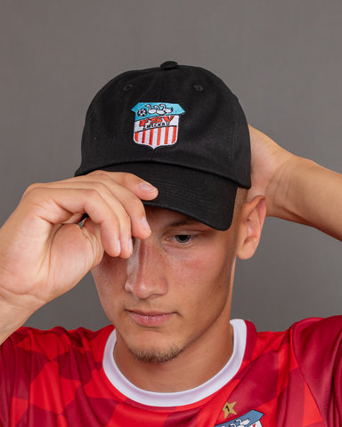 FSV | Cap "FSV Zwickau"