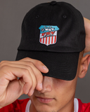 FSV | Cap "FSV Zwickau"