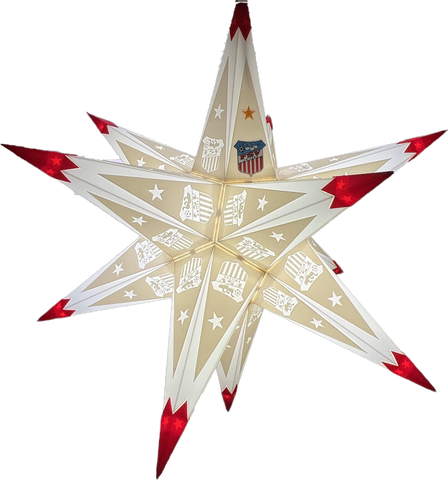 FSV | Weihnachtsstern LED