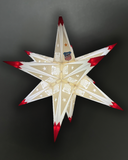 FSV | Weihnachtsstern LED