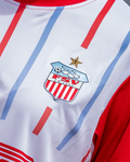 FSV | CRAFT Trikot FSV Zwickau "weiss" 25/26