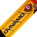 FSV | AUTO SCHAL DYNAMO / ZWICKAU SEIDE