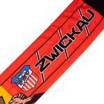 FSV | AUTO SCHAL DYNAMO / ZWICKAU SEIDE