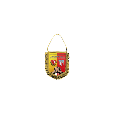 FSV | Dynamo / Zwickau Auto-Wimpel
