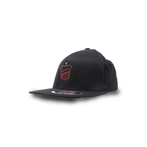 FSV | FlexFit Basecap  "Stitch"