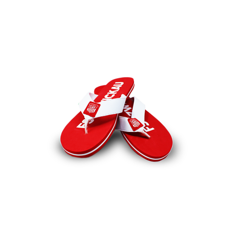 FSV | Flip Flops