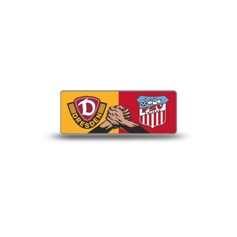 FSV | DYNAMO / ZWICKAU Pin