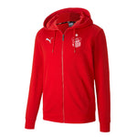 FSV | PUMA teamGOAL 23 Casual Hooded Jacket red