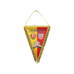 FSV | Dynamo / Zwickau Schmuck-Wimpel